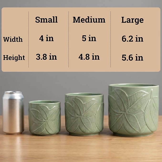 Ceramic Pots for Plants Set of 3 Sizes - 6, 5, 4 Inch Diameter Plant Pots with Drainage Holes - Ceramic Planters for Indoor Plants - Decorative Flower Pot - Plant Pot with Drainage - Indoor Planter