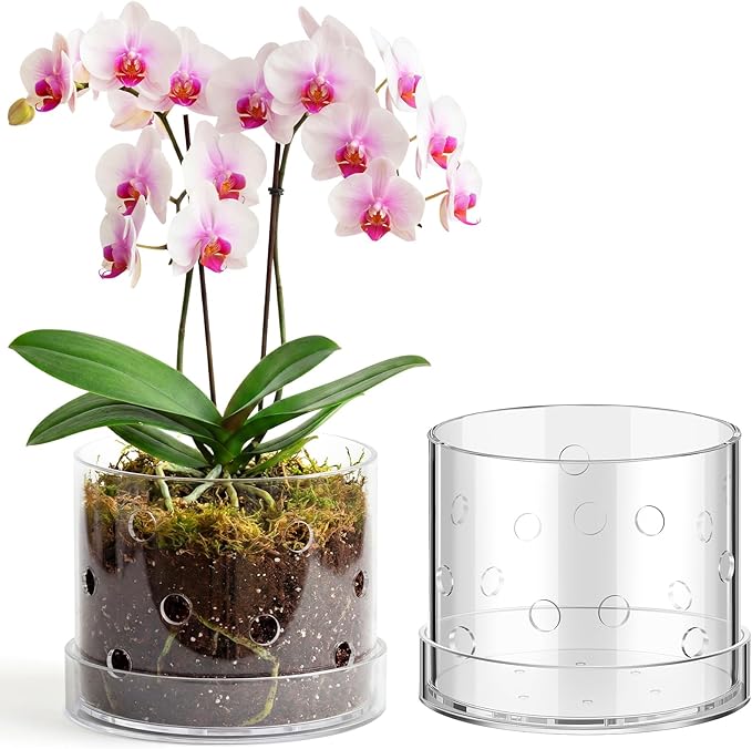6 Inch Clear Acrylic Orchid Planter Pot with 360° Round Holes & Tray, Thick Acrylic Vented Planter for Phalaenopsis, Root Airflow, Bottom Watering & Indoor Orchid Repotting