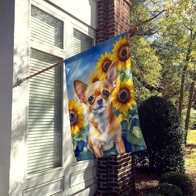 Caroline's Treasures DAC6051CHF Chihuahua in Sunflowers House Flag Large Porch Sleeve Pole Decorative Outside Yard Banner Artwork Wall Hanging, Polyester, House Size, Multicolor