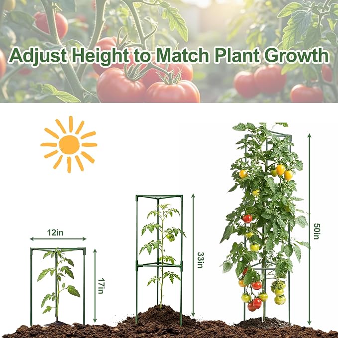 Tomato Cages for Garden&Pots, 6 Pack 50" Plant Support Trellis for Tomatoes, Cucumbers, Beans | Heavy-Duty Steel with Rust-Proof Coating | Garden Stakes for Outdoor Indoor Plants
