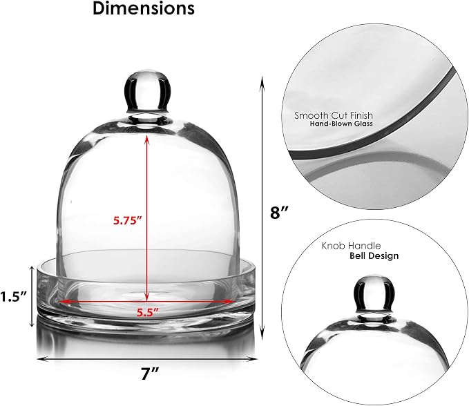 CYS EXCEL Glass Bell Dome Cloche with Glass Base (H:8" W:7") | Multiple Size Choices Terrarium Jar Plant Cover | Cake Dessert Display