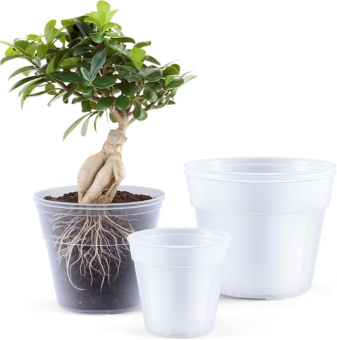 Vesici 6 Pcs 8/10/12 Inch Large Thickened Clear Nursery Pots Variety Pack Plant Pots with Drainage Holes Planters for Indoor Plants Flexible Transparent Plastic Plant Bottle Succulents