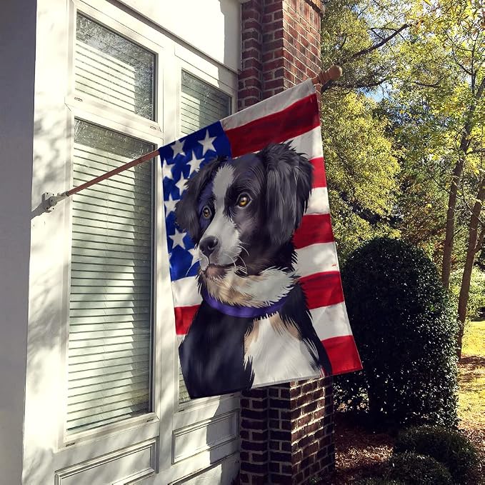Caroline's Treasures CK6412CHF Australian Shepherd American Flag House Flag Large Porch Sleeve Pole Decorative Outside Yard Banner Artwork Wall Hanging, Polyester, House Size, Multicolor