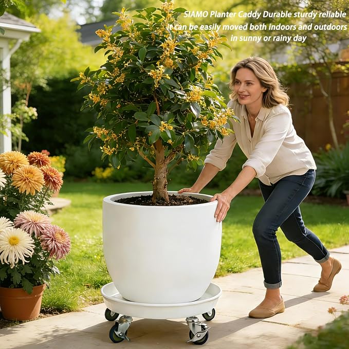 SIAMO 20" Heavy Duty Plant Caddy (570lbs Capacity)-Lockable Non-Scratch Swivel Casters All-Weather Rolling Plant Stand Saucer for Large Ceramic Planters & Heavy Trees,White,1-Pack
