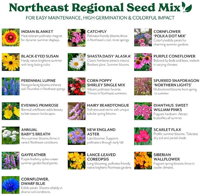 Grow Your Own Vibrant Annual and Perennial Wildflower Garden Seeds Mixture, Varieties for Pollinators and Spring Gardens - Northeast Regional Mix, 10 lbs