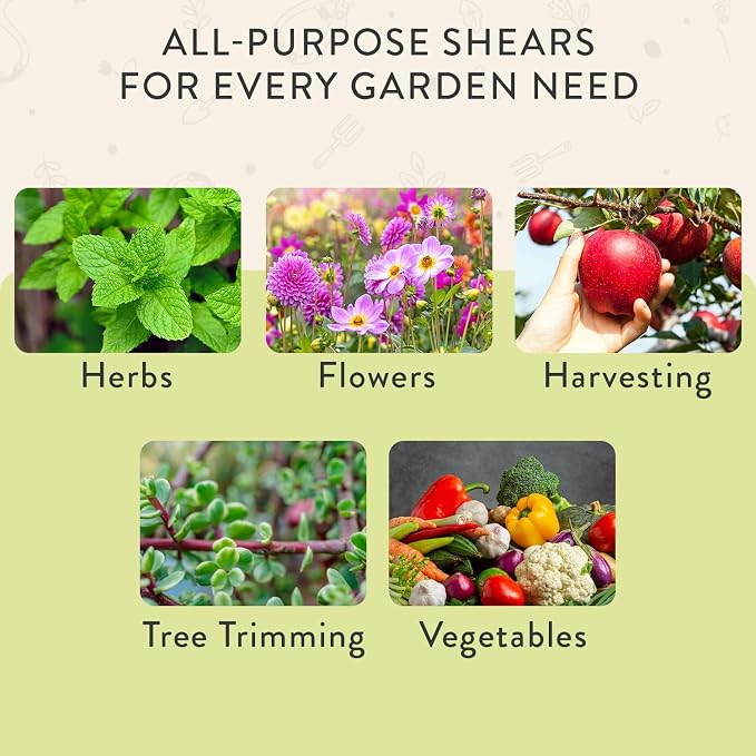 Modern Sprout Pruning Shears - Herb Snipping Scissors- Lightweight Gardening Tools W/Easy Lock - Flower Cutter Garden Shears - Carbon Steel Blade + Reusable Holster (Chartreuse, 1-Pack)