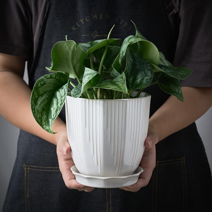 ADN Ceramic Planter, 6 Inch Plant Pots for Plants Modern Decor Indoor Flower Pot with Saucer and Drainage Hole, White