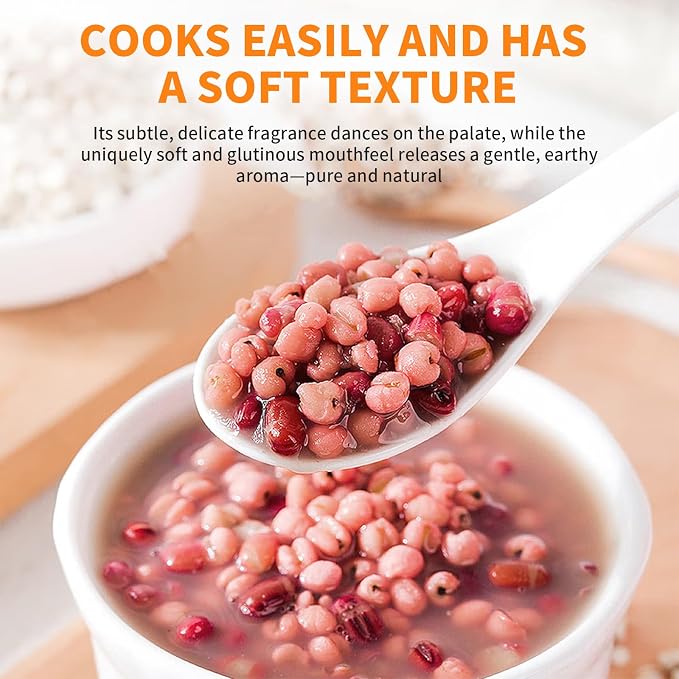 Jobs Tear Coix Seeds 14.11oz (400g) | Pearl Barley Coix Rice No Additives, No Sugar | Whole Grain for Porridge/Soup 薏米 薏苡仁
