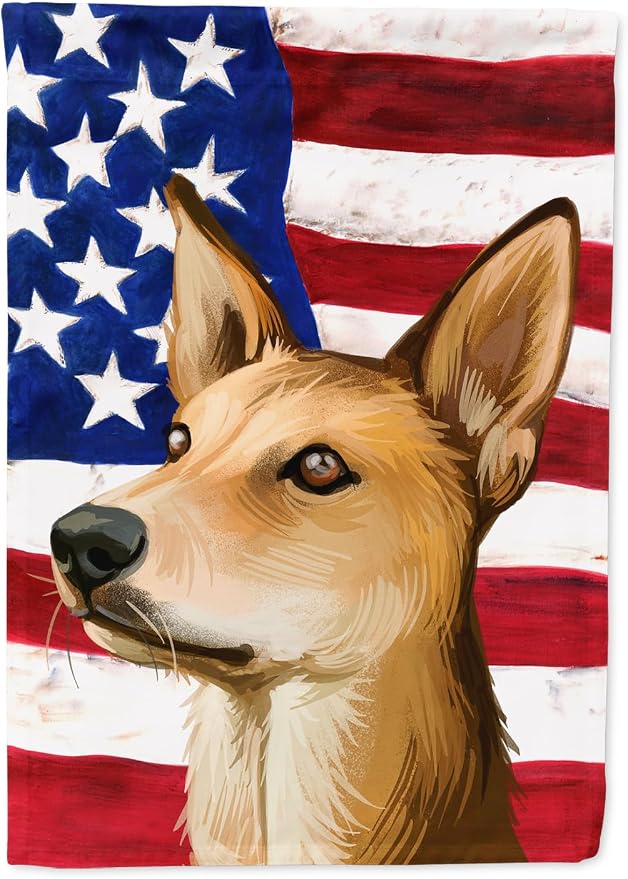 Caroline's Treasures CK6567GF Indian pariah dog American Flag Garden Flag Mailbox Flag Decorative Yard Flag Banner Outside Patio Artwork Yard Flower Beds, Garden Size, Multicolor
