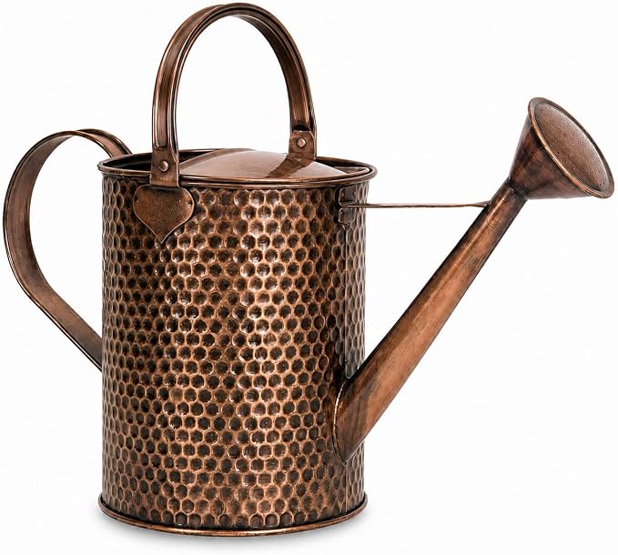 Gardenised 1 Gallon Galvanized Metal Watering Can with Removable Long Spout & Sprinkler Head for Indoor & Outdoor Use Ideal for Garden Flowers Potted Plants Houseplants Modern Home Accessories, Brown