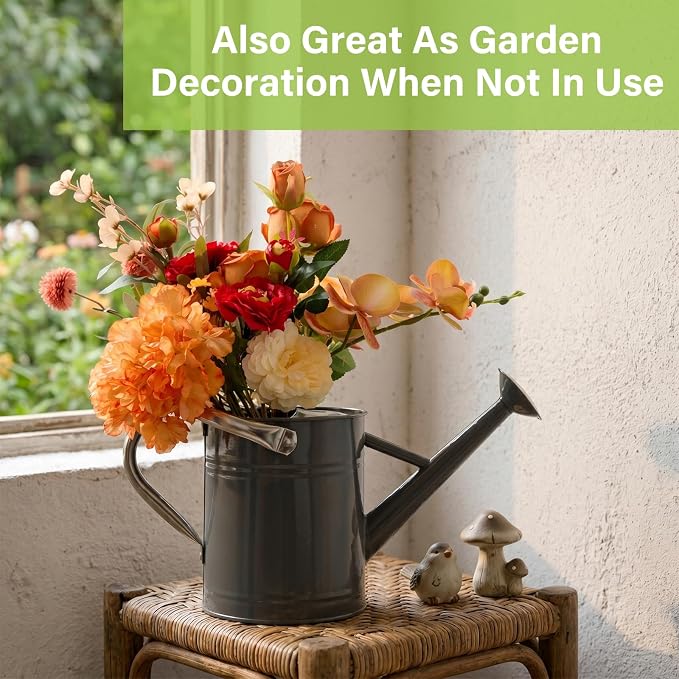 Watering Can for Outdoor&Indoor Plants，1 Gallon Metal Watering Can with with Removable Spout，Galvanized Steel Garden Flower Water Can Plant Watering Pot with 2 Handles,Grey