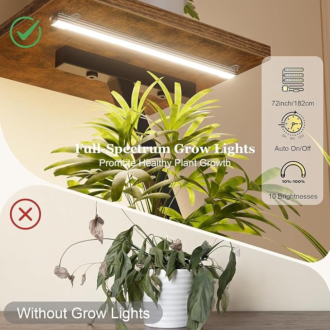 Plant Stand Indoor with Grow Light - 62" Indoor Tall Plant Shelf, 7 Tiered Corner Plant Stands for Multiple Indoor Plants, Metal Plant Holder for Living Room, Space-Saving Vertical Plants Rack, Black