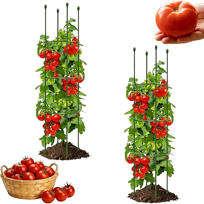2 Pack Heavy Duty Tomato Cages for Garden, 59 Inch Tall Adjustable Metal Tomato Plant Support for Pots, Round Trellis for Climbing Plants Outdoor, Vegetable, Cucumber, Beans