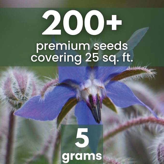 Borage – 200 Seeds for Planting – 2026 Season – 5 Gram Pouch