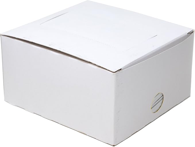 Paper Twist Ties,4x5/32,Wht,2000/CS