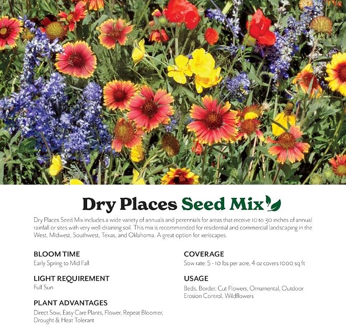 Grow Your Own Vibrant Annual and Perennial Wildflower Garden Mixture, Varieties for Pollinators and Spring Gardens - Dry Places Mix, 50 lbs