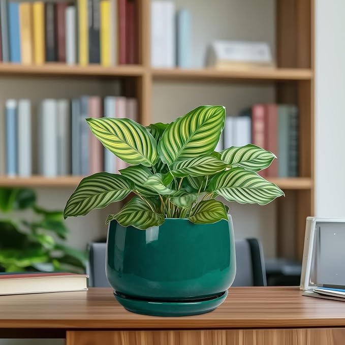 G EPGardening Ceramic Planter for Indoor Plants - 7 Inch Plant Pot, Round Planter with Drainage and Saucer, Round Flower Pots for Outdoor, Modern Desk Decor, Gift for Women Men, Green