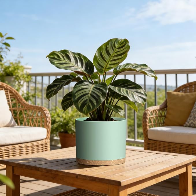 Plant Pots, 10/9/8 Inch 3 Pack Cylindrical Flower Pots with Drainage Holes and Saucers, Plastic Planters for Outdoor Indoor Plants,Green Brown