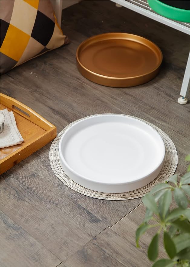 Ceramic Saucer 9 inch Round Saucer for Succulent Planter | Planter Tray (Gold, 9 inch)