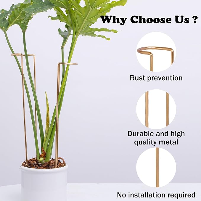 10-Pack Large Indoor Plant Stakes - 15.5-Inch Heavy Duty Metal Supports for Monstera and Outdoor Plants | Ideal for Supporting Tall Plants & Enhancing Garden Displays |