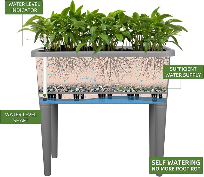 Dexceder 13.2 Gallon Self Watering Raised Garden Bed (Deep Gray) | Ventilation Transparent Lid Greenhouse, Deepen Vegetable Flower Box Planter Pot with Removeble Legs & Water Level Indicator