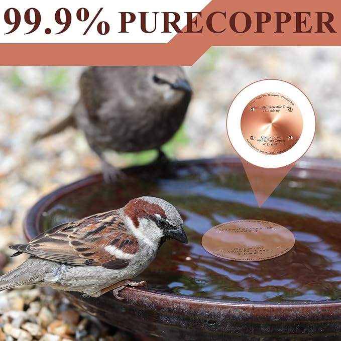 MorningRo 1 Pcs 4'' Bird Bath Copper Disk, 0.6mm Thick Reinforced 99.99% Pure Copper Disc birdbath Purification Disc, with 4 Point Support for Outdoor Birdbaths Bowls Cleaner (Classic)