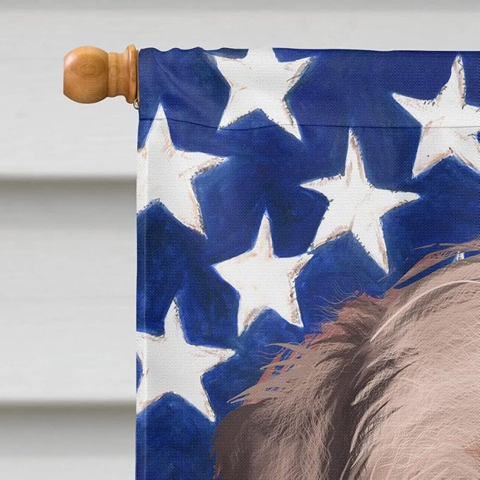 Caroline's Treasures CK6448CHF Border Terrier Dog American Flag House Flag Large Porch Sleeve Pole Decorative Outside Yard Banner Artwork Wall Hanging, Polyester, House Size, Multicolor