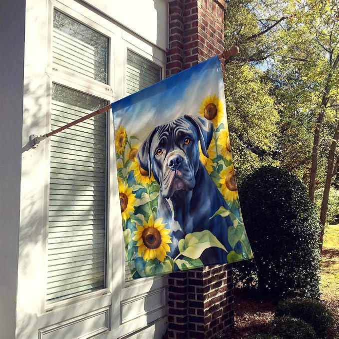 Caroline's Treasures DAC6045CHF Cane Corso in Sunflowers House Flag Large Porch Sleeve Pole Decorative Outside Yard Banner Artwork Wall Hanging, Polyester, House Size, Multicolor