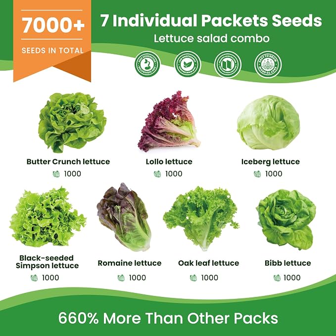 7 Variety Mix Lettuce Seeds - 7000+ Heirloom Lettuce Seeds for Planting Including Romaine, Butter Lettuce, Iceberg Lettuce, etc - Outdoor Hydroponics Gardens Fresh Leafy Green Vegetables Easy to Grow