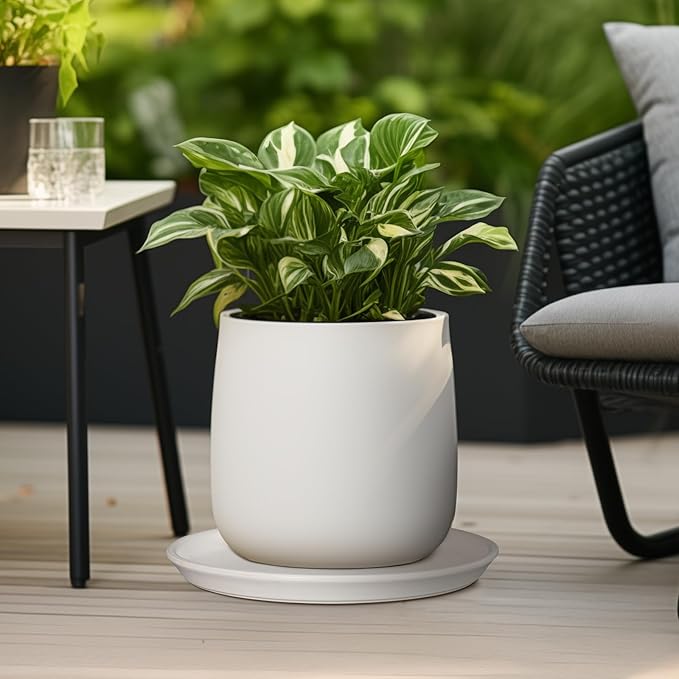 Ceramic Plant Saucer - 12 Inch Plant Tray for Pots Large Plant Plate to Catch Water Indoor Plants Large Plant Drip Tray for Drainage Round Flower Pot Saucer White
