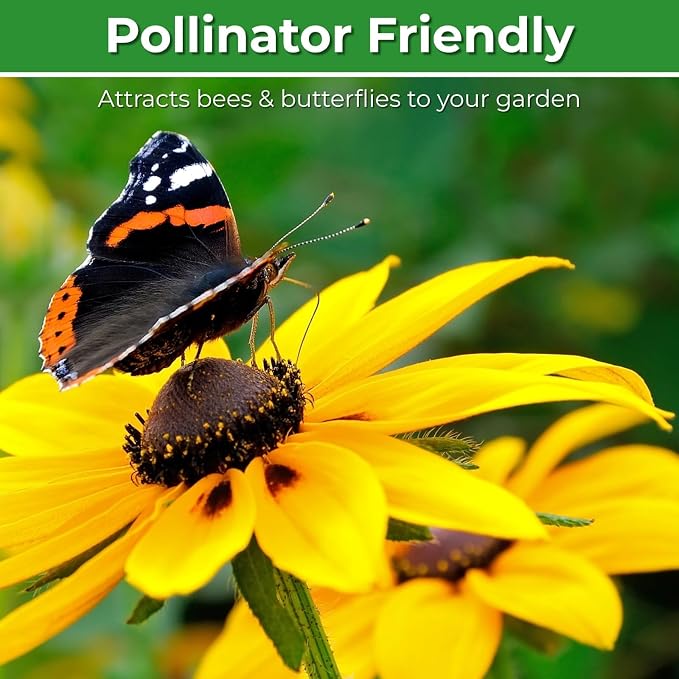 400,000+ Black Eyed Susan Seeds for Planting - 4oz Rudbeckia Hirta Yellow Wildflower, Non-GMO Heirloom Flower Seeds for Outdoor Garden Beds, Borders, Meadow, Indoor Start, Resealable Zipper Bag