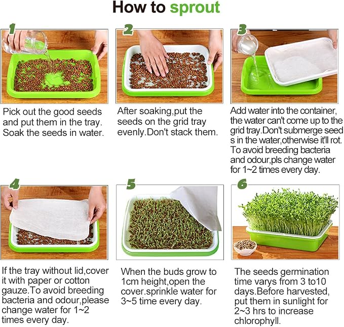 Seed Sprouter Tray with Lid BPA Free PP Sprouting Kit for Beans, Wheatgrass | Food-Grade PP, Soil-Free Large Capacity, Drainage Sprouting Kit for Mung Beans, Microgreens & Hydroponic Growing