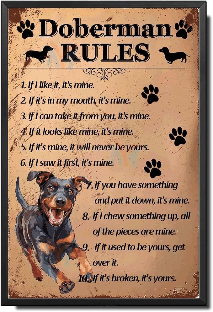 Metal Sign Tin Sign Vintage Wall Art Doberman Rules Tin Signs for Women for Club 6×8 Inches with Metal Frame