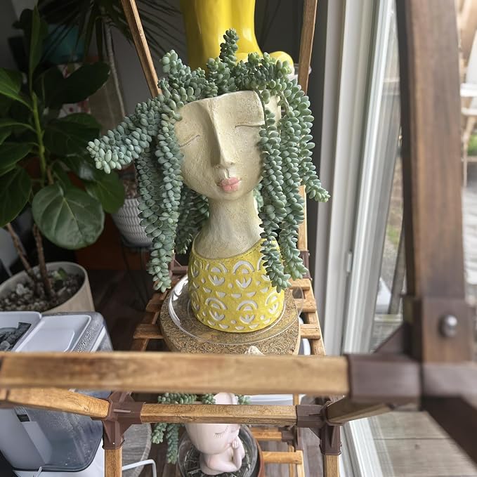 DiliComing Face Planter-Pots for Indoor Plants - 11 Inch Tall Planters for Flowers Head Planter with Drainage for Patio Yard Garden Succulent Pots Garden Decor 6 x 6 x 11 Inch