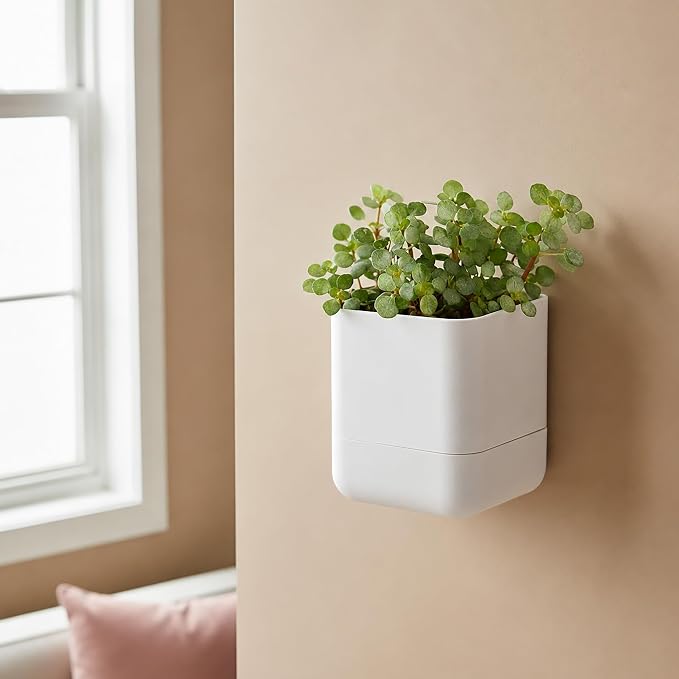 Phoenix Vine 4.5 Inch Wall Mounted Self-Watering Planter Pot for Indoor Houseplants and Herbs | Hanging Planter for Window Sills, Bathroom Walls, Home & Office Décor, White, Set of 2, 01-B-D-2