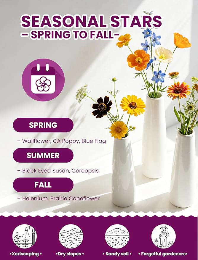 Wildflower Seeds – Desert Bloom Drought-Tolerant Mix, 23 Varieties Annuals & Perennials, 36,000+ Seeds (4oz) Covers 450-600 sq.ft. – High Germination, Thrives on Neglect, Less Water More Flowers