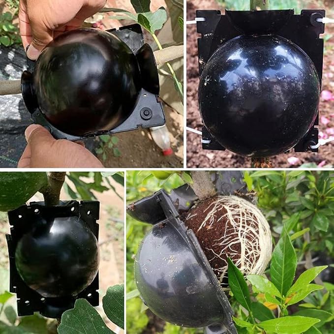 10PCS Propagation Stations Air Layering Pods, Reusable Take Rapid Root Plugs Air Layering Propagation Kit Grafting Tool Box Plant Propagation Ball Root Tone for Plant Cuttings Tree
