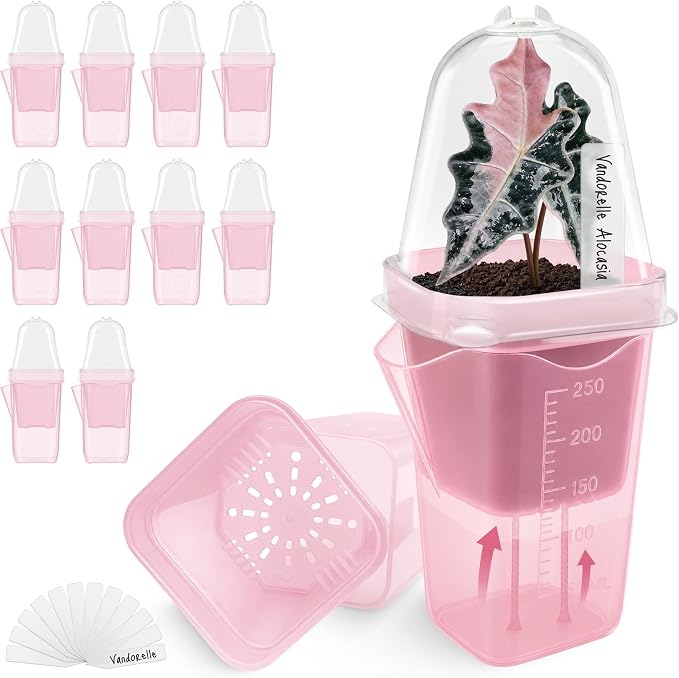 12 Pack 2.5" Small Pink Self Watering Pot with Humidity Dome for Indoor Plant,Clear Seed Starter Cup,Tissue Culture Acclimation Kit,Alocasia Corm Propagation,African Violet,Cutting,Seedling