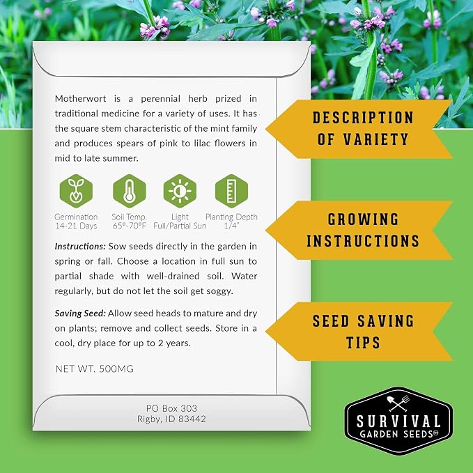 Motherwort Seeds for Planting - Leonurus Cardiaca - Heirloom Medicinal Herb for Apothecary Gardens and Pollinator Support - Survival Garden Seeds (2 Packs)