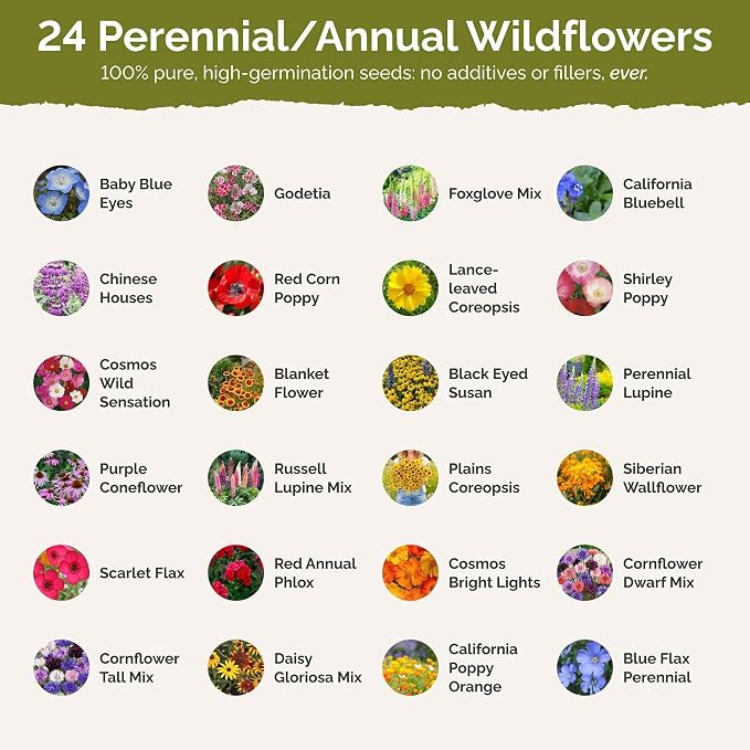 Eden Brothers Pacific Northwest Wildflower Mixed Seeds for Planting, 5 lb, 2,400,000+ Seeds with Cornflower, CA Bluebell | Attracts Pollinators, Plant in Spring or Fall, Zones 3, 4, 5, 6, 7, 8, 9, 10