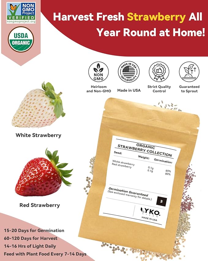 Strawberry Seed Kit Compatible with Hydroponics Growing System Pods, Indoor Home Gardening, Easy to Use for Beginner