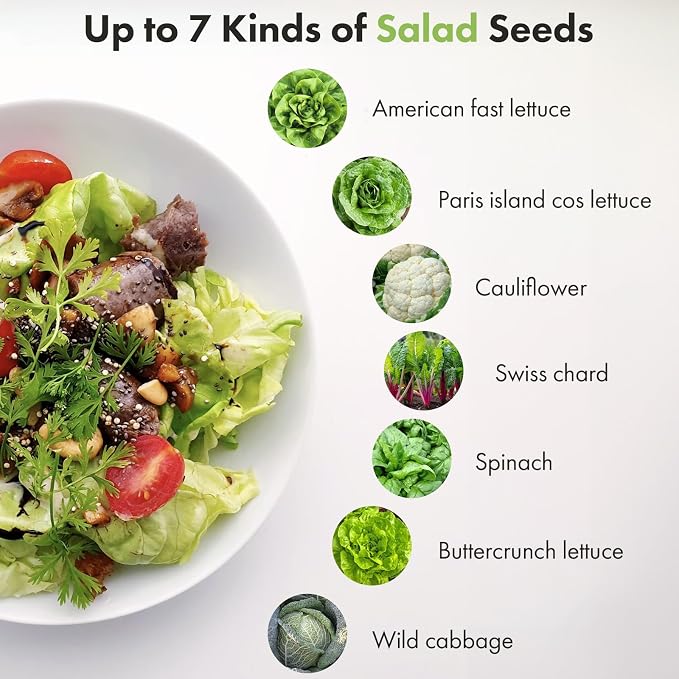 Lyko Heirloom Salad Greens Seed Pod Kit for AeroGarden, iDoo, Ahopegarden, GARDENCUBE, 12 Pods with American Fast/Paris Island/Buttercrunch Lettuce, Spinach, Swiss Chard, Cauliflower, Wild Cabbage