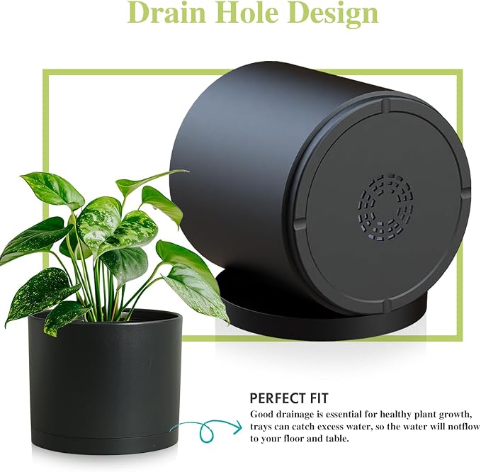 Large Plant Pots Set of 3 – 8", 9", 10" Indoor Flower Pots with Drainage Holes and Saucers, Big Planters for Monstera, Fiddle Leaf Fig, Snake Plant – 5 Colors