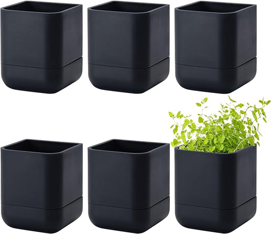 Phoenix Vine 3.5 Inch Wall Mounted Self-Watering Planter Pot for Indoor Houseplants and Herbs | Hanging Planter for Window Sills, Bathroom Walls, Home & Office Décor, Black, Set of 6, 01-A-E-6