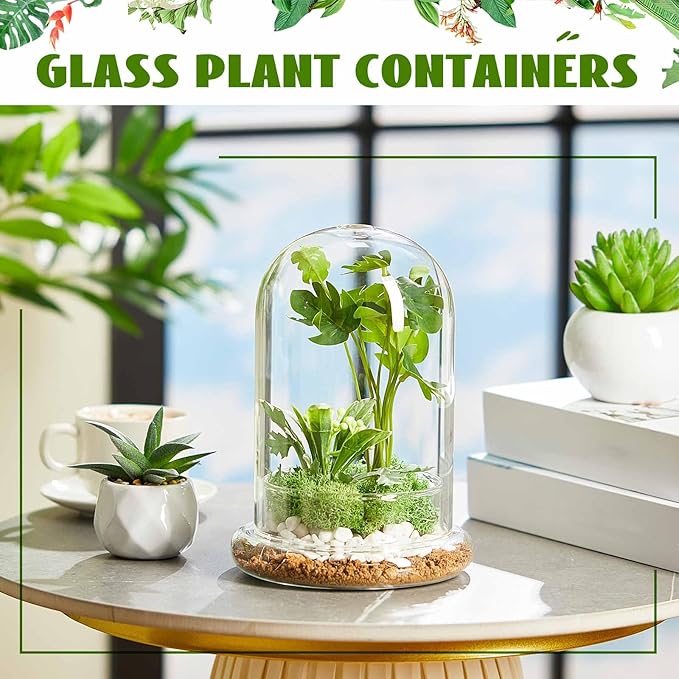 1 PC 5.9 x 7.9 Inch Glass Terrarium Dome Cloche with Air Hole & Glass Base, Clear Terrarium Containers Ventilated Plant Humidity Dome for Carnivorous Plants Orchids Tropical Cuttings, No Leakage