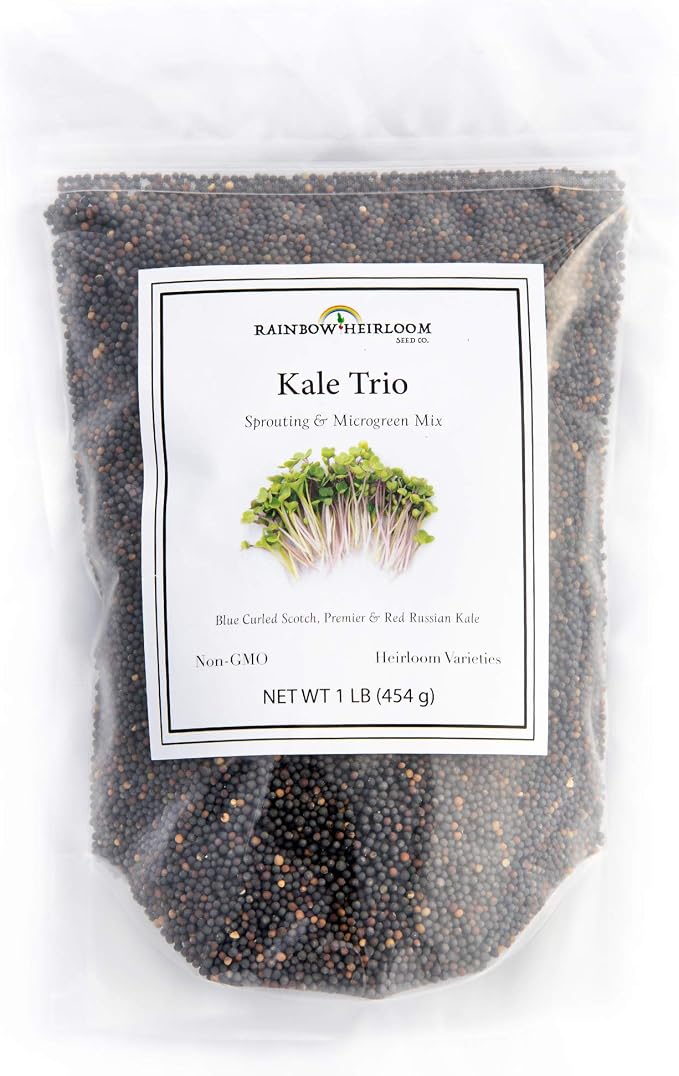 Kale Trio Sprouting & Microgreen Mix | Contains Blue Curled Scotch, Premier & Red Russian Kale Seeds | Heirloom Non-GMO Seeds | Bulk 1 LB Resealable Bag | Rainbow Heirloom Seed Co.