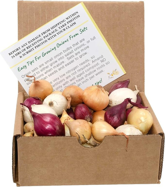 Mixed Onion Assortment 8 oz - Red, White & Yellow Onion Bulbs | Onion Sets, Non-GMO Zones 3-10