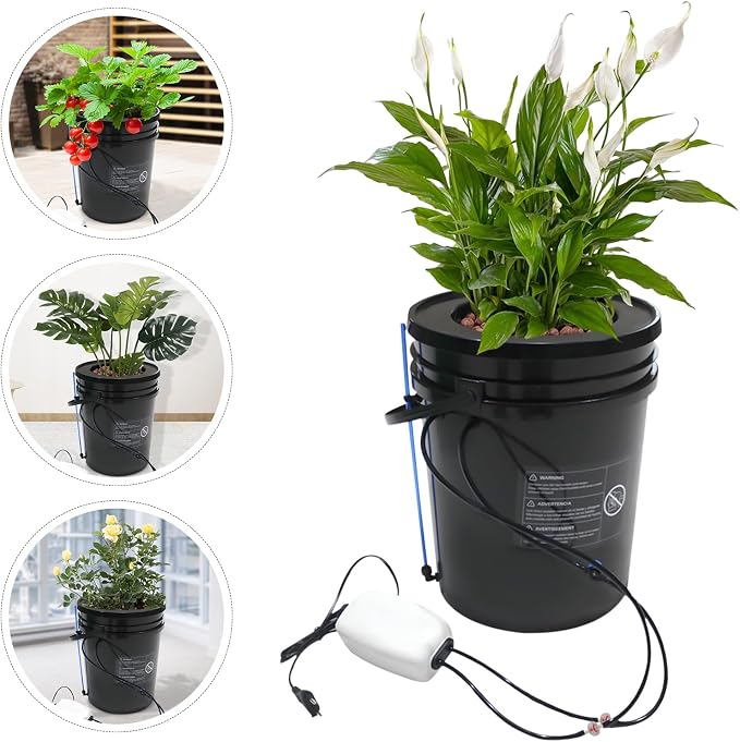 5 Gal Hydroponic Growing System, Indoor Deep Water Culture with Drip Irrigation & Air Pump, 8" Basket Kit for Vegetables, Herbs, Home Garden