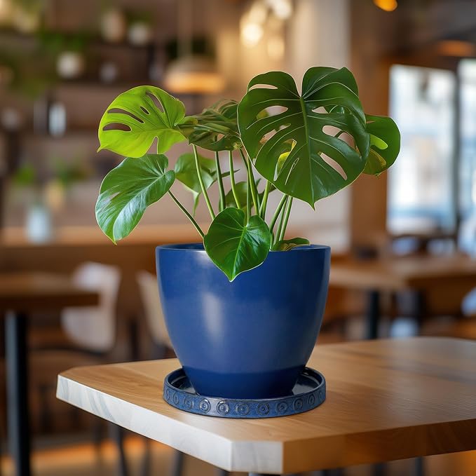 Eightpot Plant Water Catcher Tray - Ceramic Plant Saucer for Outdoors 7.5 Inch Plant Pot Saucer Plant Drip Tray for Potted Plants Drainage Decorative Round Flower Pot Saucer Blue