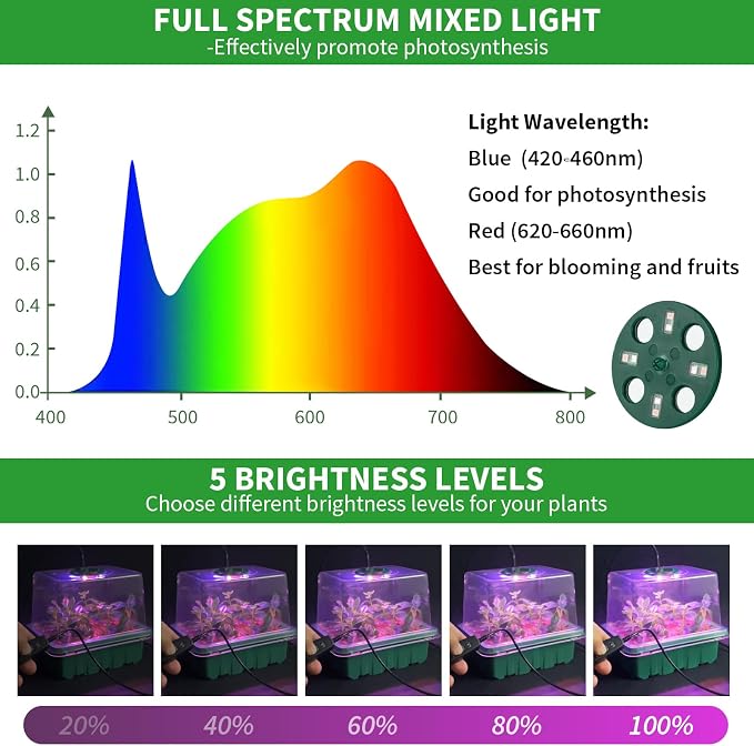 Qoolife Seed Starter Tray with Plant Light, 2 Pack Grow Lights for Seed Starting Kit with Humidity Domes, Timing Controller Adjustable Brightness for Greenhouse Propagator Station Planting Growing